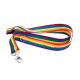Logoband Pride (Limited Edition), 10-pack